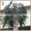 artificial washingtonia palm tree in custom umbrella shape