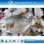 IQF frozen whole round golden pomfret fish