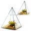 terrarium geometric glass terrarium wholesale drop shape