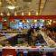 Sushi conveyor belt system Rotary restaurant conveyor equiment - factory: michaeldeng@gdyuyang.com