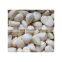 Good Quality 500g/1kg/2kg/10kg/20kg White Chopped Frozen Crushed Garlic Conducive to Preservation