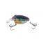Hot Selling New Product 58mm 8.2g  Crank Lures With 3D eyes