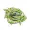 Factory Price IQF Frozen Edamame in Pods