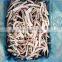 squid strip frozen giant squid strips indian ocean squid strips