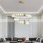 Nordic Metal Acrylic Ball LED Pendant Light Modern Golden Copper LED Indoor Bedroom Chandelier