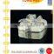 Different color choice Silver Square Jewel box