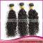Unprocessed Wholesale Virgin Brazilian Hair Brazilian Virgin Human Hair Extension Cheap Wholesale Brazilian Virgin Hair