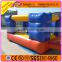 2016 Hot Popular bouncey house,blow up jumpers,jumper for rent
