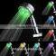 SDS-A26 Metallic color LED Shower