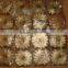 14T spur gear