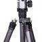 New Professional carbon dslr camera tripod with ballhead Hades255CT