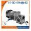 Worm wheel hollow shaft gear electromotor