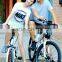 Seagull,cheap e road electric bike