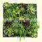 Beautiful Photo Frames Artificial Succulents Vertical plant wall