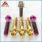 Titanium colorful anodized screw