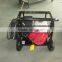 Lingben China 3600PSI 250 Bar car pressure washer pump