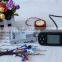 universal voltage brushless cruise controller for electric bicycle e-bike