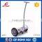 2 Wheel Standing Self Balance Electric Scooter/48v 20ah Battery Power Electric Scooter/750w Electric Scooter