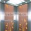 450kg 6 person High Qualty Passenger Elevators For Sale