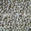 NEW CROP Small white kidney beans