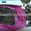 2015 new crop black cardamom with high quality for sale