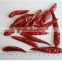 dry red tianying chili