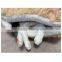 QQ pet factory wholesale china plush cat hamburger bed & new egg cat bed hamburger