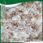 Hot sale free dust shavings exporting sawdust wood