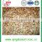 High quality Chinese blanched peanut kernel with nice taste and choose