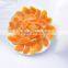 High Quality Dried Mandarin Orange