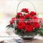 Export cut fresh flower of red rose flower from china