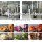 Full automatic vegetable&fruit healthy green food processing line