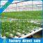 2017 Huifa Commercial Professional Hydroponic Greenhouse Systems