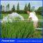 AC solar pumping system 400W 24 meters head deliver 3 tons per hour