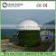 Domestic biogas digester power plant with more than 30 years service life