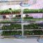422 Trolley for grow seedlings