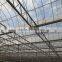 Commerical Multi-Span Greenhouse for agriculture with UV