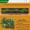 Green Field New Waterproof Indoor Vertical Green Wall