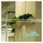 2016 new design GreenSun Hydro Plastic Vertical garden wall planter/self-watering system wall planter