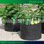 hot sale tree grow bags