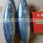 Frozen Bonito tuna