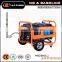 Low price Natural gas gasoline dual use generator