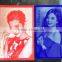 MC 1390 glass bottle / ceramic tiles laser engraving machine price