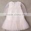 Fashion Baby children's product Tulle girls party dresses flower Princess party Dress
