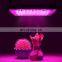 New design Led module grow light 50w full spectrum For Indoor Hydroponics Plants