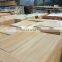 Jinan Yellow Sandstone, Shandong Sandstone , China Yellow Sandstone