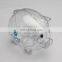 Clear Cheap Wholesale Plastic Piggy Bank