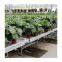 Automatic system flood rolling greenhouse bench with ebb and flow table commercial growing agriculture