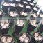 Outdoor Led lights for garden /landscape/lawn on wedding place