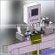 2015 New Grain Flour Pouch Automatic Packing Machine